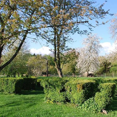 Gites Aux Fleurs De Cerises Le Plessis-Luzarches Zewnętrze zdjęcie
