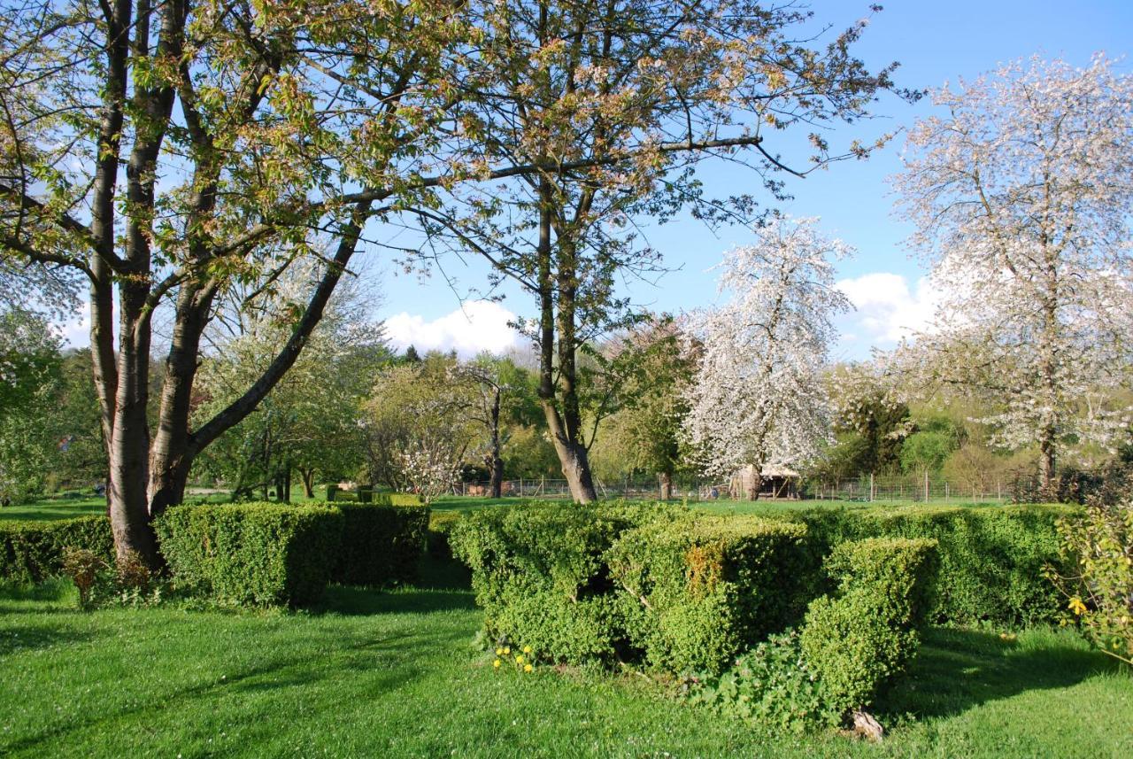 Gites Aux Fleurs De Cerises Le Plessis-Luzarches Zewnętrze zdjęcie